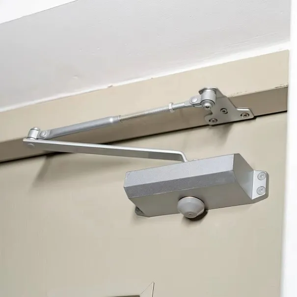 Main Door Repair & Installation